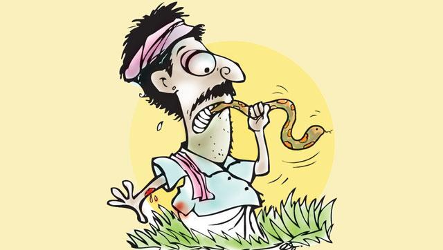 Jharkhand man eats venomous snake after being bitten